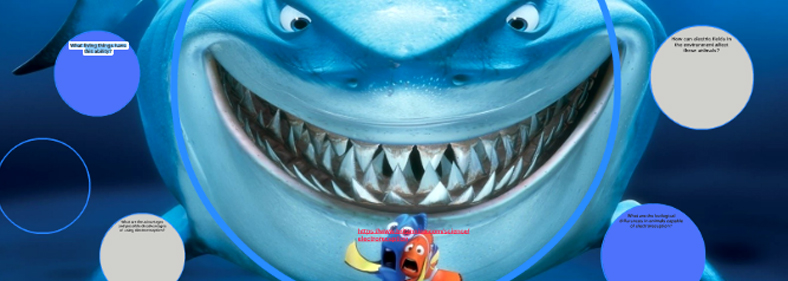 electrorecetio banner